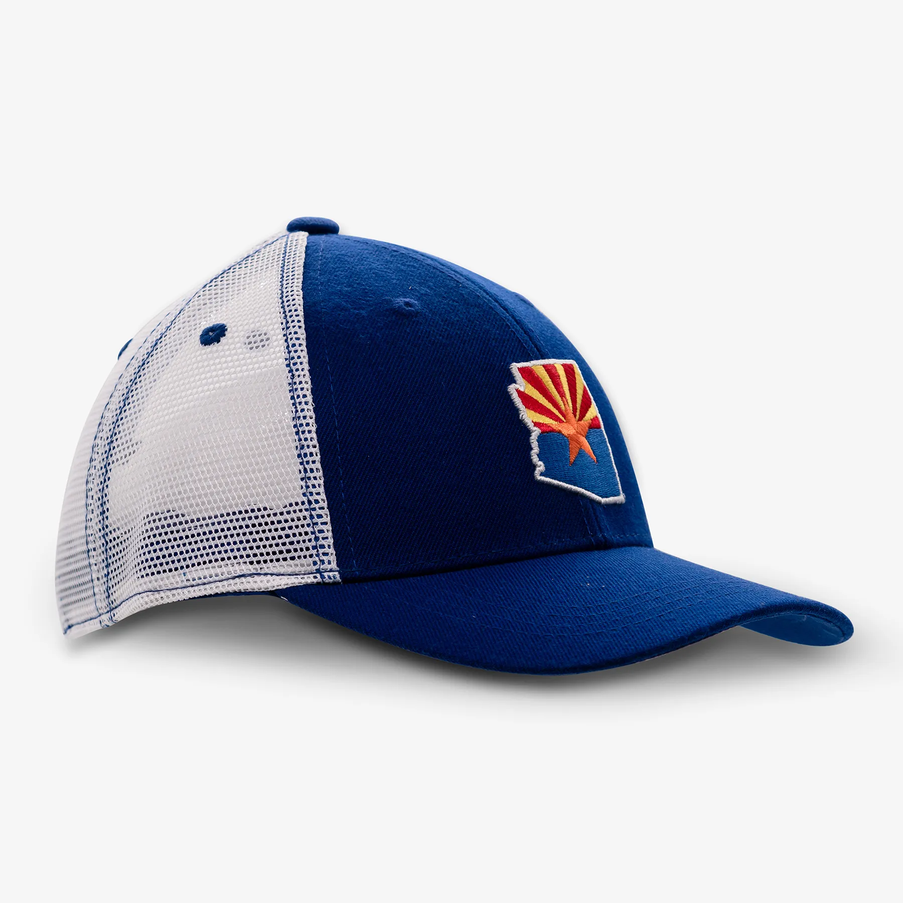 Arizona Outline Curved Snapback Hat